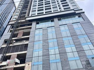 Bán gấp ch02 căn hộ chung cư 119m2 tại capital elite, 11 tỷ, mỹ đình 2, nam từ liêm, hà nội