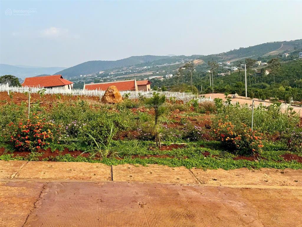 [bán lỗ] lô góc 536m2 , 404m2 thổ cư tại tt nam banlâm đồng . cách chợ đêm đà lạt 25km