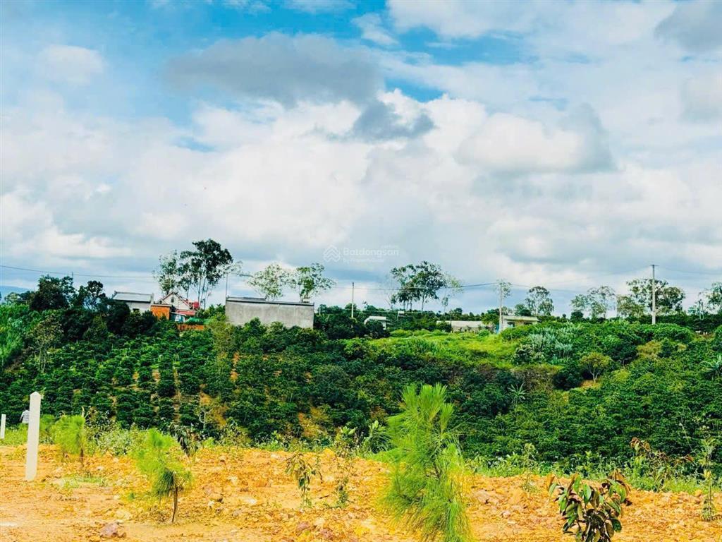 Bán 2066m2 đất tại nam hà, lâm đồng. gần nhựa, view đất thoáng đẹp. giá f0 999 triệu