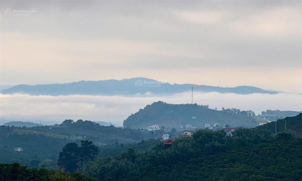 Bán 2066m2 đất tại nam hà, lâm đồng. gần nhựa, view đất thoáng đẹp. giá f0 999 triệu