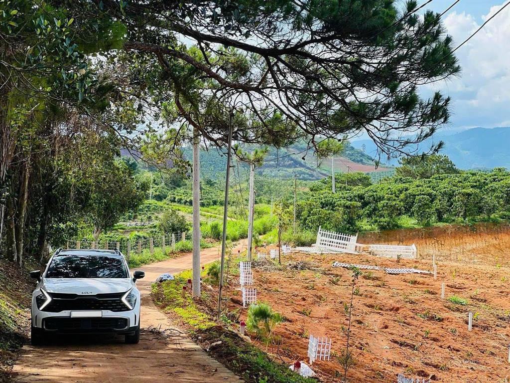 Bán 2066m2 đất tại nam hà, lâm đồng. gần nhựa, view đất thoáng đẹp. giá f0 999 triệu