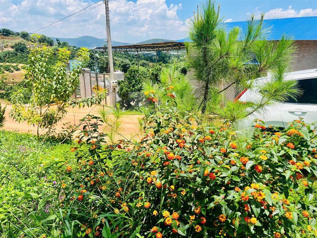 Sổ hồng 656m2 có 400m2 thổ cư tại đô thị. đường ô tô 8m hiện hữu. cách tp đà lạt 25km