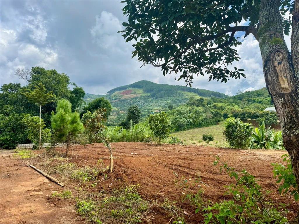 Sổ hồng 560m2, 175m2 thổ cư. ôm suối cam ly, gần chợ thăng long