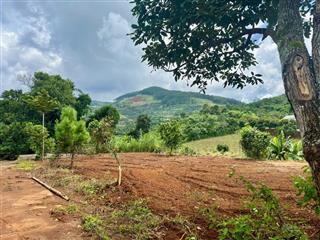 Sổ hồng 560m2, 175m2 thổ cư. ôm suối cam ly, gần chợ thăng long