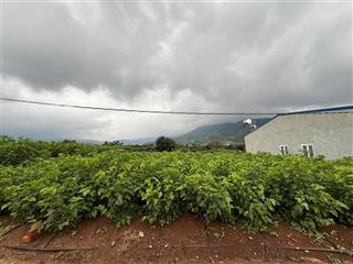 Chủ cần bán 116m2. giá 650 triệu. sau lưng mặt nhựa đông thanh (100m)