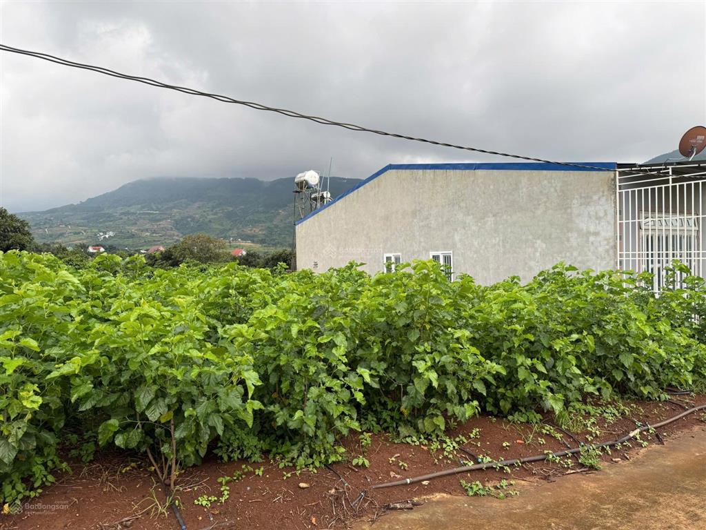 Chủ ở xa cần bán 116m2 ngay gần trục đường nhựa đông thanh