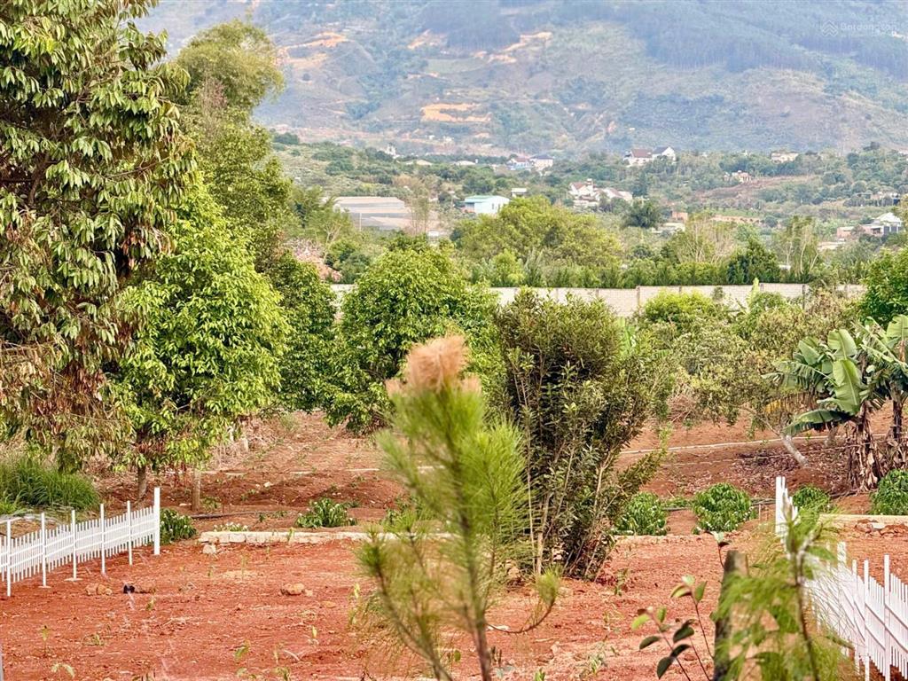 Bán lô đất ngay gần trung tâm nam ban . chợ thăng long , dt725 chỉ 300m