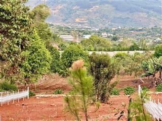 Bán lô đất ven đà lạt cực đẹp ngay gần trung tâm chợ thăng long