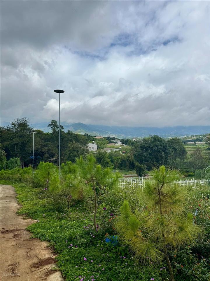 Đất trung tâm nam ban 172m2. cách tỉnh lộ dt725 chỉ 250m