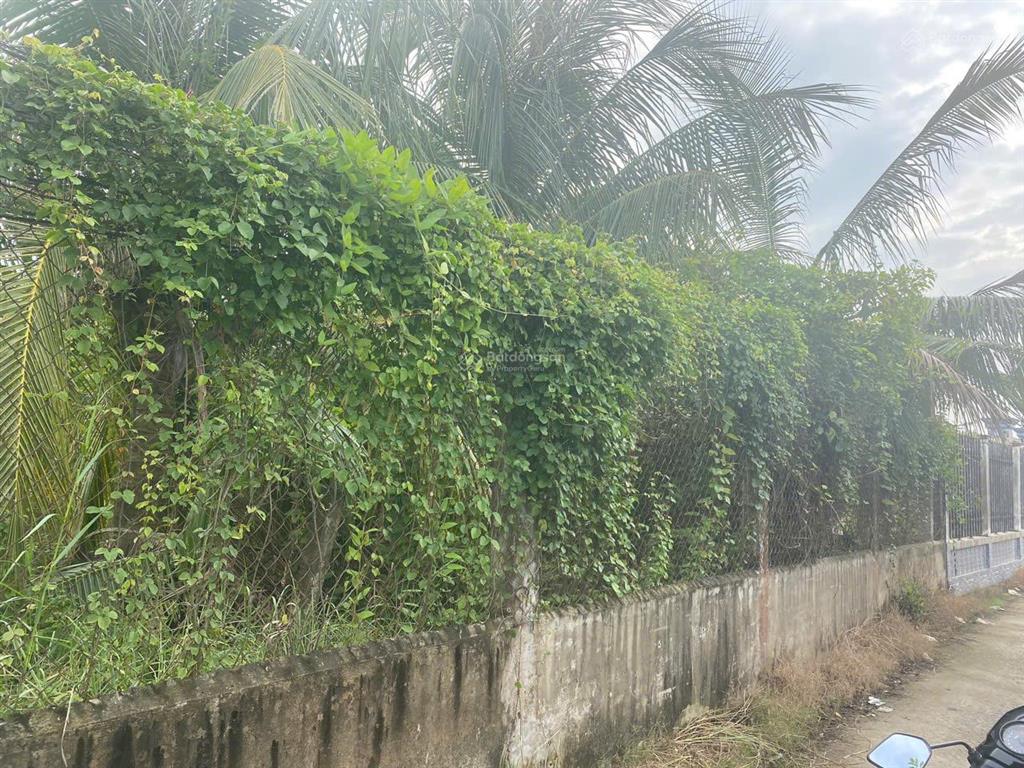 Bán đất 150m2 tại tân bình, tân trụ, long an giá chỉ 1,25 tỷ