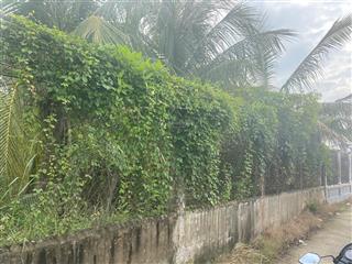 Bán đất 150m2 tại tân bình, tân trụ, long an giá chỉ 1,25 tỷ