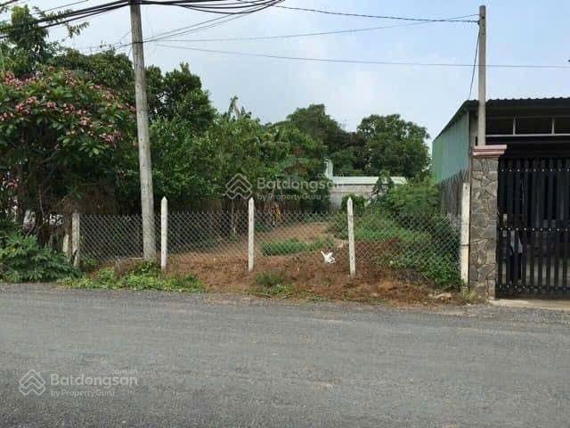 Bán gấp đất nền mtđ nguyễn quang đại xã mỹ lệ cần đước long an giá 578tr dt 120m2 shr 0972 753 ***
