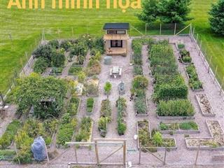Một mảnh vườn – một khởi đầu an yên