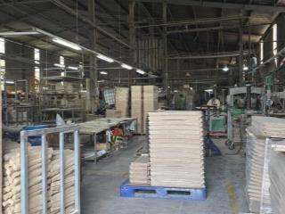 Cần bán gấp xưởng gần 7000m2full skctân đông hiệptp.hcm ( dĩ an,bình dương cũ). giá cực tốt