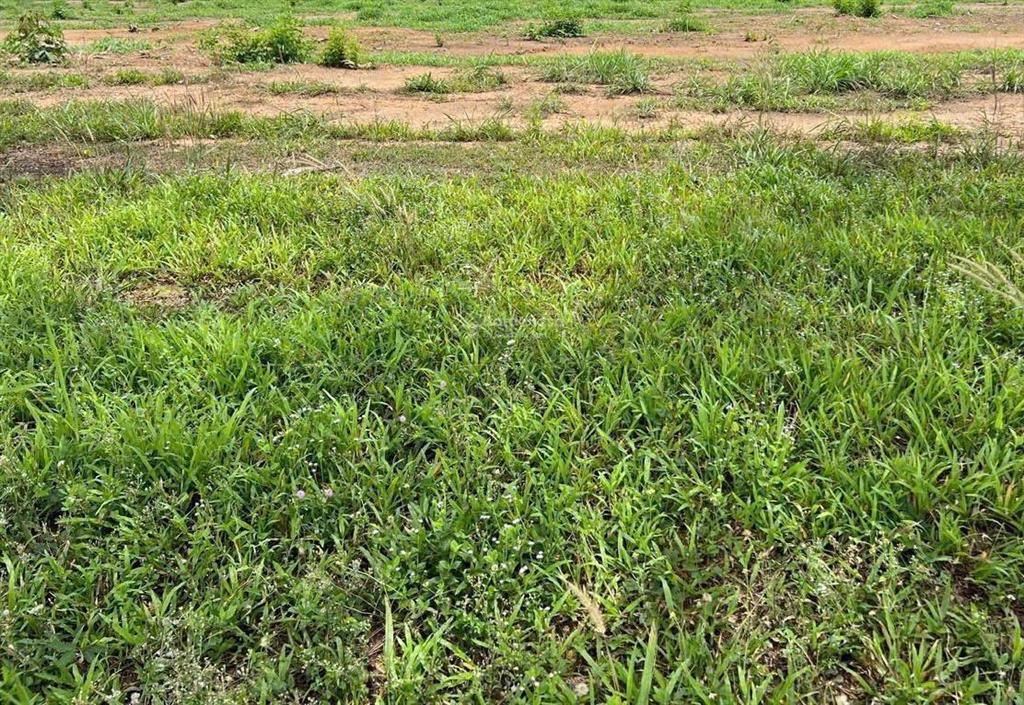 Bán đất xưởng full skc  đã đóng thuế 1 lần. ngay tam phước biên hoà đồng nai  17.620m2. giá 84tỷ