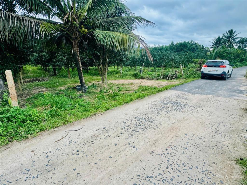 Bán đất xã suối cát  cam lâm rẻ nhất thị trường. cách nút giao cao tốc hơn 1km giá chỉ 1,7tr/m2