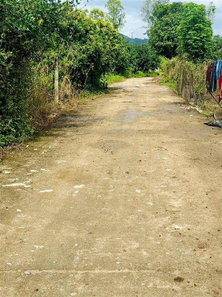 Bán đất tân xương 2 suối cát  cam lâm. 1000m2 ngang 28m. đất đẹp bằng phẳng giá chỉ 450tr