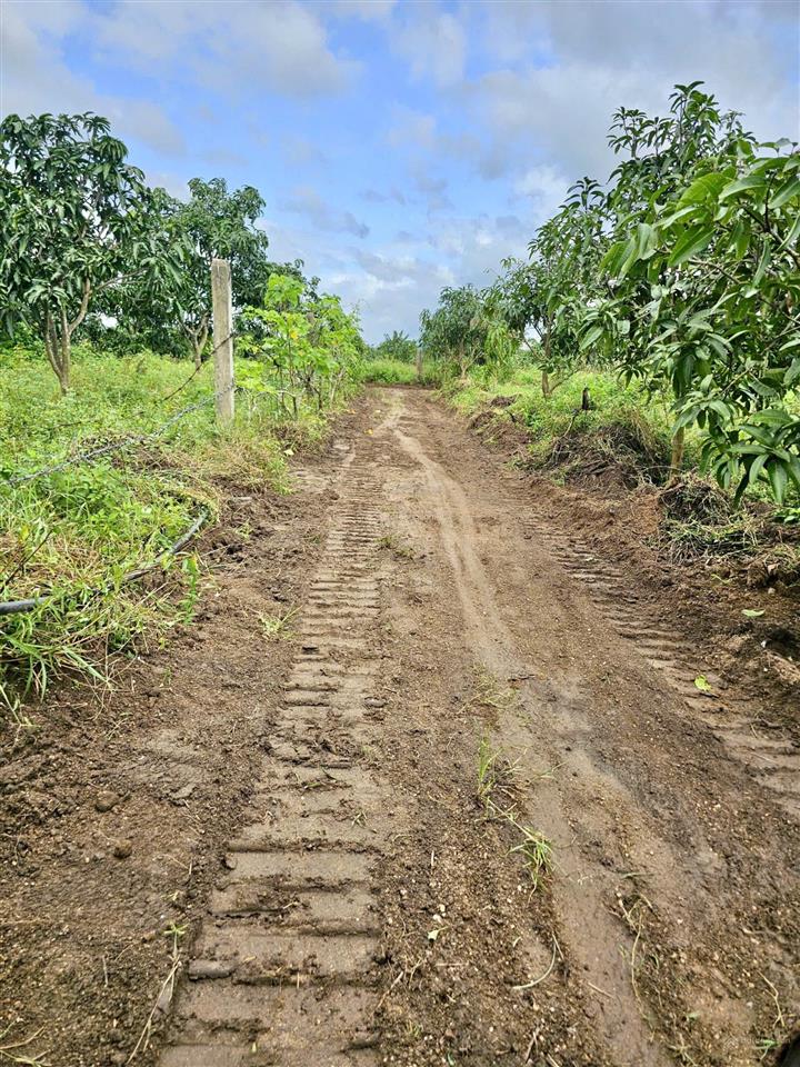 Bán đất tân xương 2 suối cát  cam lâm. 1000m2 ngang 28m. đất đẹp bằng phẳng giá chỉ 450tr