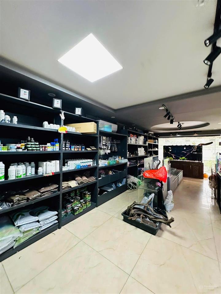 Vip tòa nhà 9 tầng mặt phố quan hoa 2 mặt tiền  105m2 dòng tiền 2 tỷ/năm gọi ngay 0946 655 ***