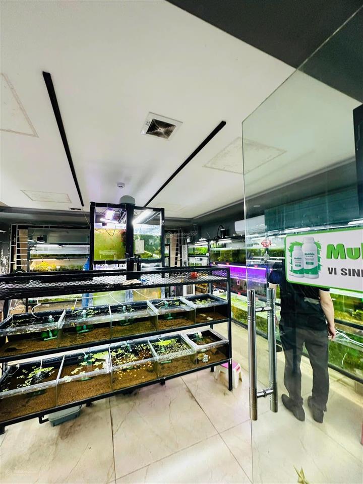 Vip tòa nhà 9 tầng mặt phố quan hoa 2 mặt tiền  105m2 dòng tiền 2 tỷ/năm gọi ngay 0946 655 ***