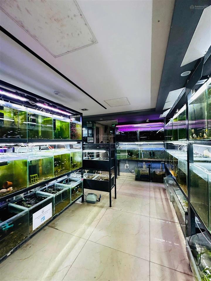 Vip tòa nhà 9 tầng mặt phố quan hoa 2 mặt tiền  105m2 dòng tiền 2 tỷ/năm gọi ngay 0946 655 ***