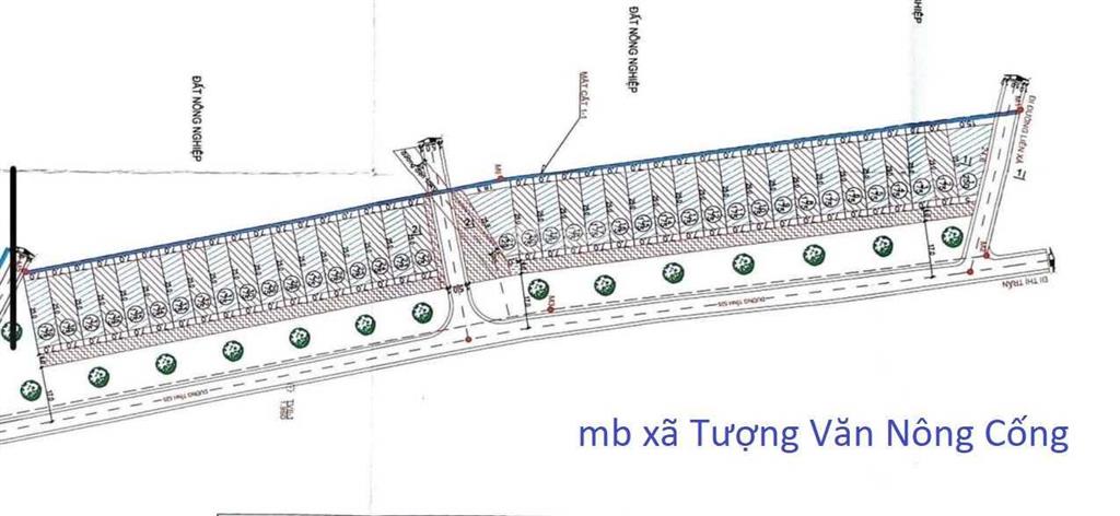 Cắt lỗchính chủ cần bán bán 50 lô đất tại thanh hóa (huyện đông sơn)