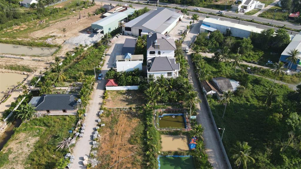 Bán đất biệt thự khu phố cây thông ngoài 216m2 hàng hiếm giá tốt chỉ 2.55 tỷ
