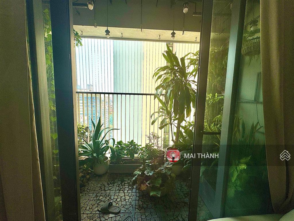 Bán gấp ch 2pn, 71,5 m2, ban công đông bắc siêu hiếm, tại dreamland bonanza, nam từ liêm, hà nội