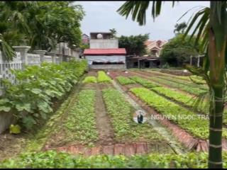 Bán trung tâm quất lâm 125m2 mặt tiền 5m chỉ hơn 1 tỷ cạnh bến xe chỉ 200m ra quảng trường biển