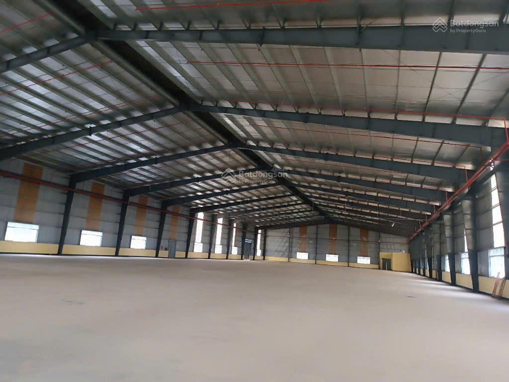 Cho thuê kho tiêu chuẩn logistics tại đà nẵng  dock leverler hiện đại, diện tích và vị trí đa dạng