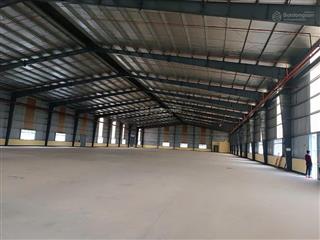 Cho thuê kho tiêu chuẩn logistics tại đà nẵng dock leverler hiện đại, vị trí chiến lược