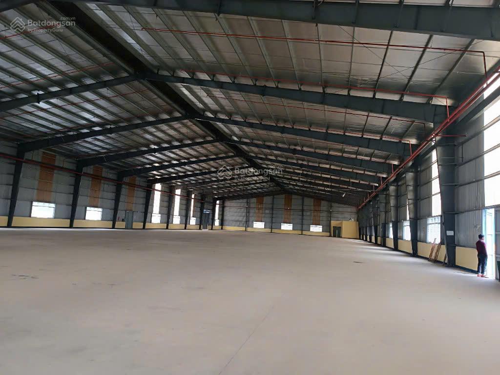 Cho thuê kho tiêu chuẩn logistics tại đà nẵng  dock leverler hiện đại, diện tích và vị trí đa dạng