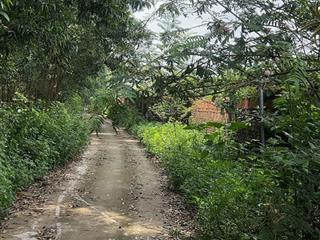 Mảnh đất tại kim long  vĩnh phúc , lý tưởng làm homestay chỉ cách vĩnh yên hơn 10 phút đi xe