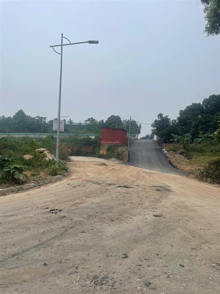 Chính chủ cần bán đất làm trang trại tại kim long  tam dương  vĩnh phúc