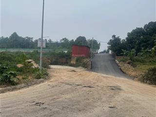 Chính chủ cần bán đất làm trang trại tại kim long  tam dương  vĩnh phúc