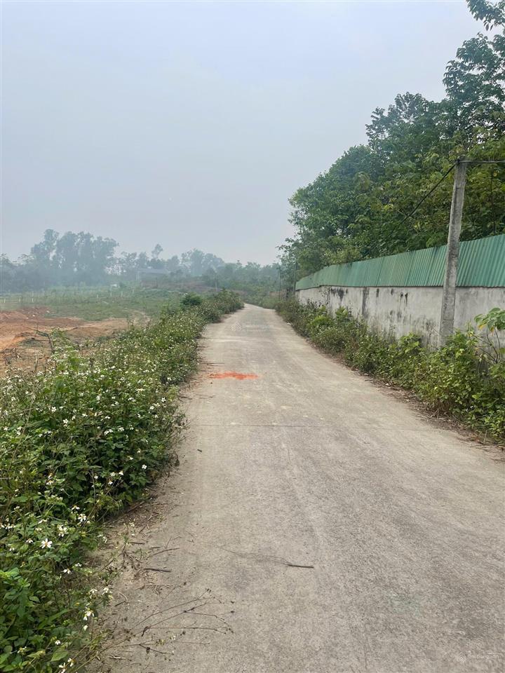 Chính chủ cần bán đất làm trang trại tại kim long  tam dương  vĩnh phúc