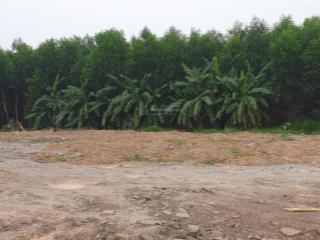 Bán đất vườn tại thị trấn vĩnh an, vĩnh cửu, đồng nai, 9 tỷ, 6300m2