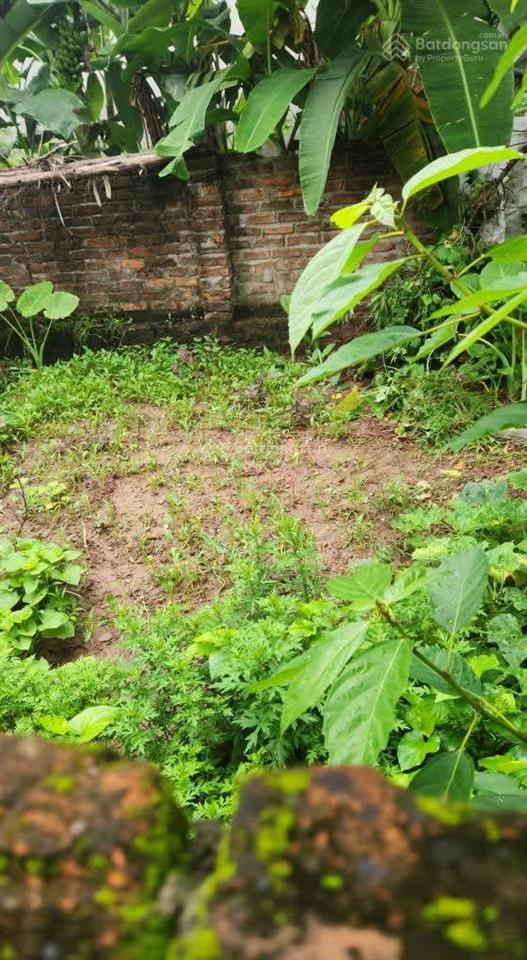 Giá rẻ nhất khu vực 30m ngõ thoáng, 30m ra trục chính ô tô tránh, chỉ 2.35 tỷ