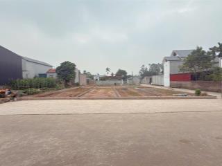 +

TỔNG 8 LÔ FO ĐƯỜNG THÔNG RỘNG 11M  5 LÀN Ô TÔ TRÁNH NHAU  

CAM KÊT HOA HẬU ĐẸP