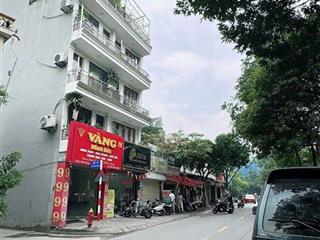 Bán nhà lô góc phố việt hưng long biên nhỉnh 6 tỷ 35m 5 tầng mt 4m ô tô kinh doanh gần bigc