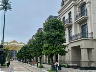 Vip bậc nhất oceanpark 2 ngay sát tttm vincom sầm uất, tấp nập giá quá rẻ cho 1 siêu phẩm