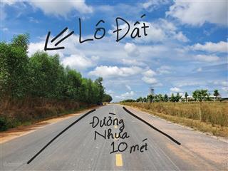 Cần bán gấp 31ha đất cln 2 km mặt tiền đường nhựa số 11