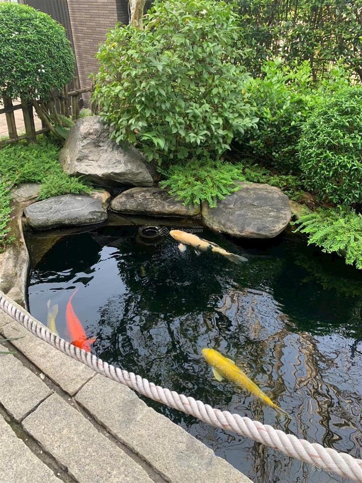 Bán gấp căn 2pn+1, 2wc s10.07 view hồ cá koi và vườn nhật, 3,95 tỷ, 69m2. thanh toán nhàn rỗi