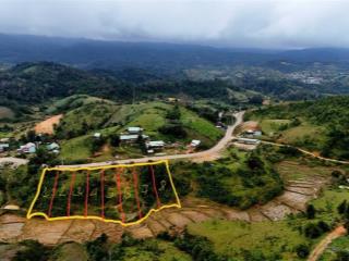 Hiếm! đất đồi gần măng đen, giá siêu hời!