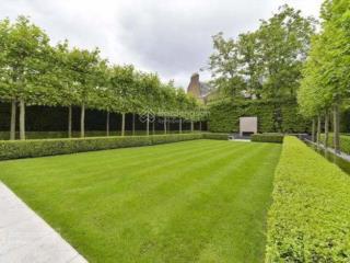 Bán lô góc sầm uất nhất văn tiến dũng,hoà xuân , cẩm lệ , đà nẵng chỉ 18,5 tỷ, 245m2.