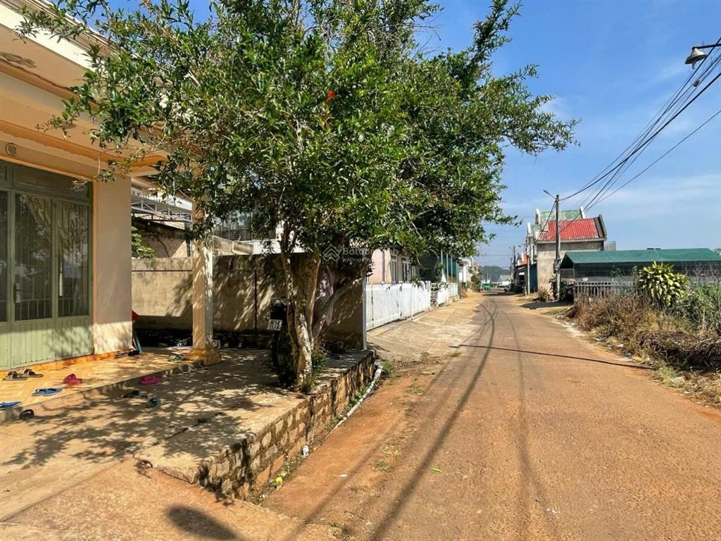 Đất mặt tiền đường đề bô trung tâm p. xuân trường đà lạt, 3 tỷ, 115m2, ngang 6,2m, đất bằng phẳng