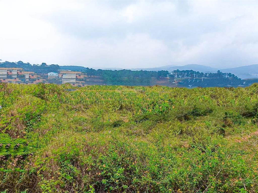 Giá cực tốt  1 lô măng lin duy nhất hẻm nhựa ô tô tránh nhau, 200m2, giá chỉ 3.95 tỷ