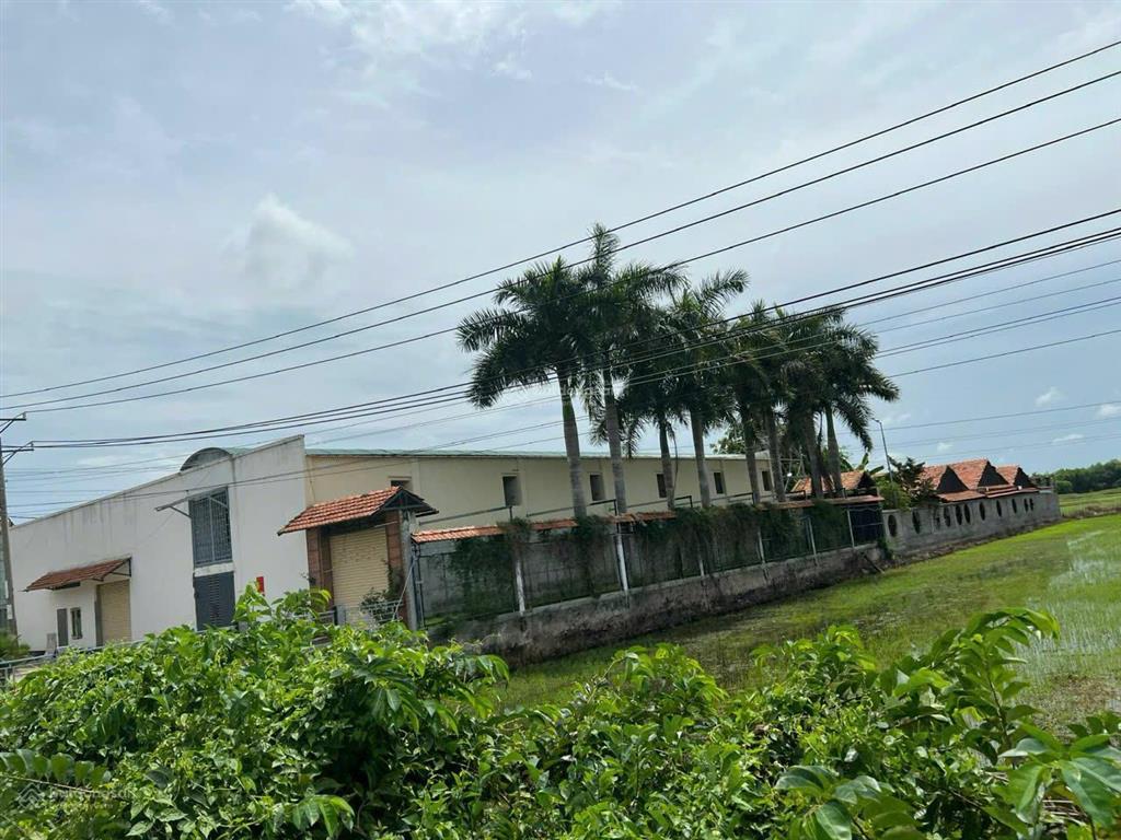 Chính chủ cần bán 2480m2 full thổ cư lợi thuận  bến cầu  tây ninh