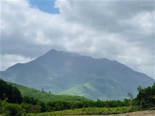 Bán gấp lô góc 4,177m2, đất phong thuỷ tốt, view núi xanh ươm, khu dân cư hiện hữu, làm nhà vườn