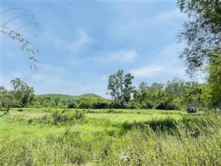 Cc bán nhanh đất nhà vườn 13,000m2 (13sào), 200m2 thổ cư, gần núi & biển giá rẻ 1,868 tỷ. bình định